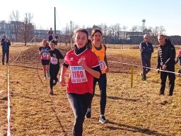 2024 CROSS DELLA VOLPE